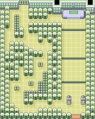 Fortree City Gym
