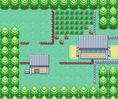 Route 7