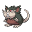 Raticate-A
